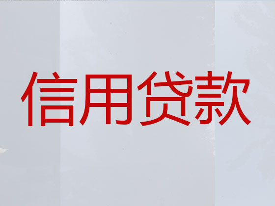 启东抵押贷款公司-信用贷款